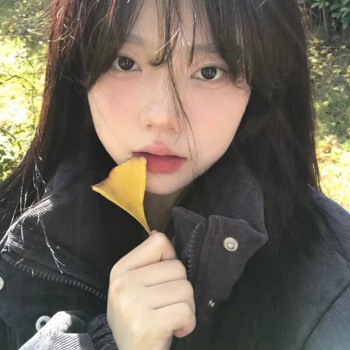 不死鸟之恋